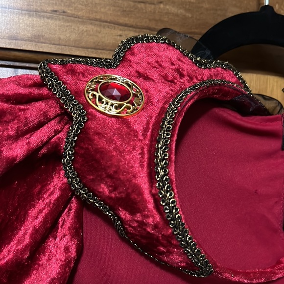 Princess costume - Picture 5 of 5